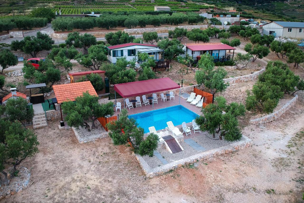 Camp Kopito